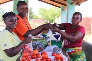 ChildFund, We Effect, Civic Forum and Habitat launch EU-Funded Women Empowerment Micro-Enterprise Support Project