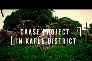 Clean Energy Solutions for Families in Kafue District – From Firewood to Biogas