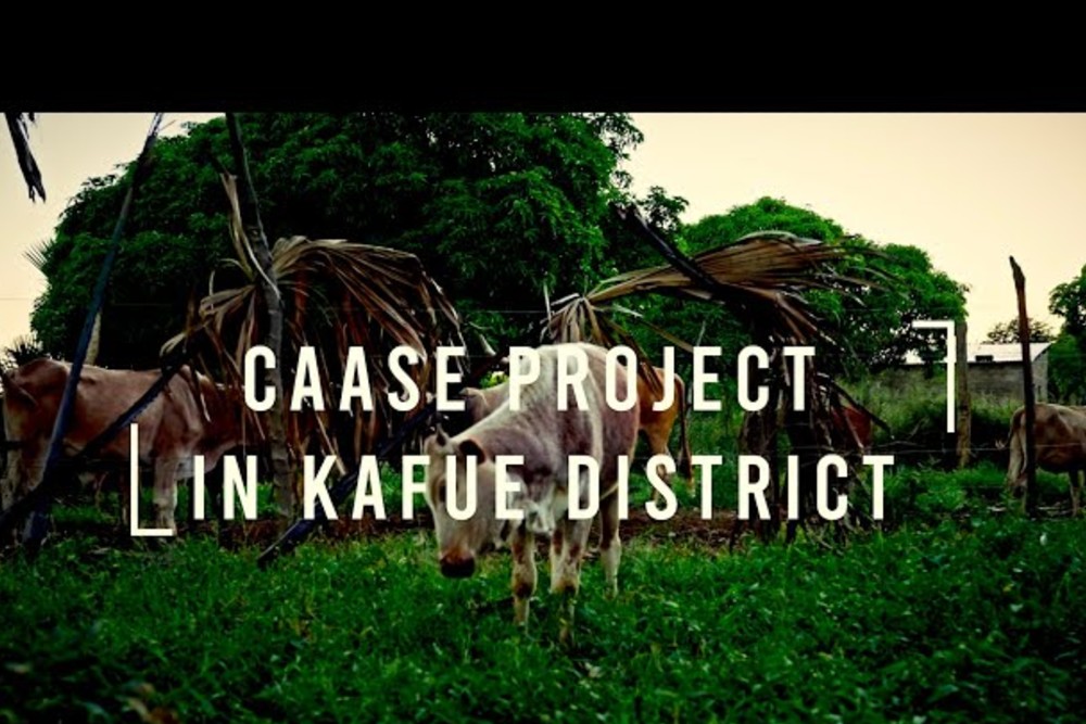 Clean Energy Solutions for Families in Kafue District – From Firewood to Biogas